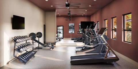 A gym with treadmills, weights, and a flat screen TV.