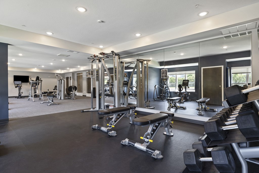 a gym with weights and cardio equipment in a luxury home