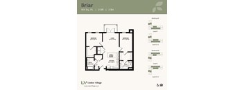 The Briar floor plan at Linden Village in Charlotte, NC.