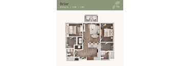 The Briar floor plan at Linden Village in Charlotte, NC.