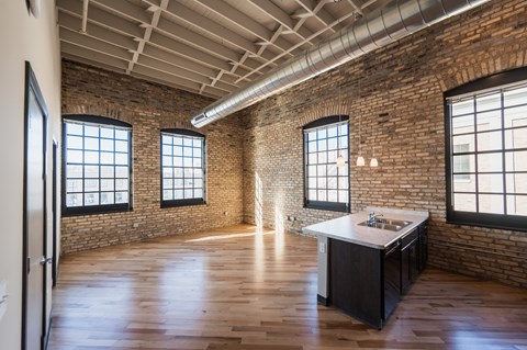 Spacious apartment with historic features