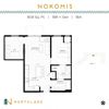 Nokomis
