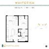 Whitefish
