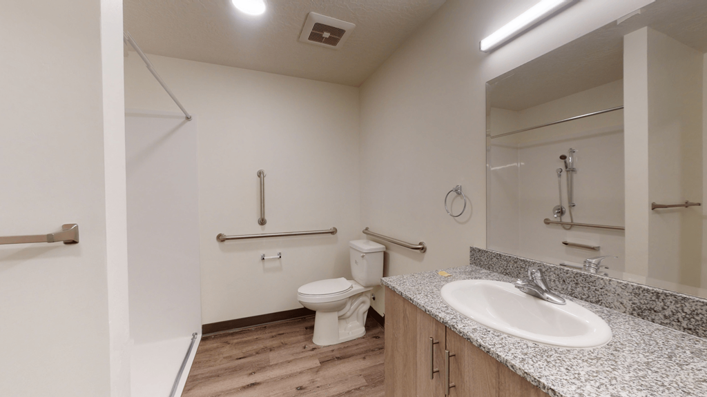 a bathroom with a sink and a toilet and a mirror