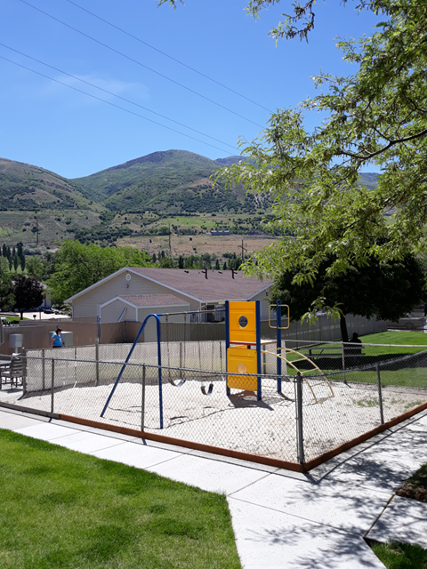 Apple Tree Playground