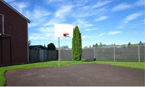 a basketball hoop in a yard next to a fence