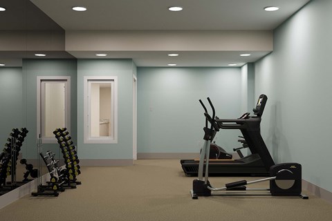 A gym with a treadmill, exercise bike, and dumbbells.