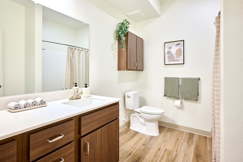 a bathroom with a toilet and a sink and a mirror