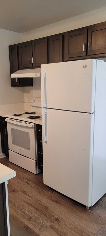 1201 N 25th Avenue 2-3 Beds Apartment, Affordable for Rent - Photo Gallery 3