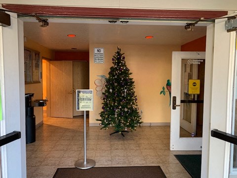 a christmas tree in the lobby of a building