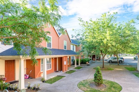 a street view of a row of homes with trees and a driveway