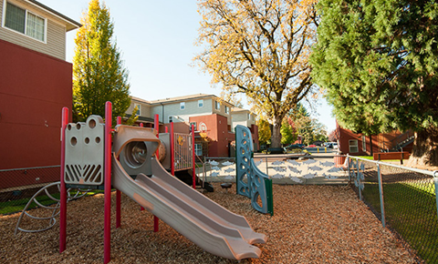 a playground with a slide and other playground equipment