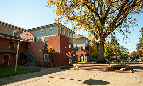 Montebello Basketball Court