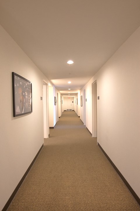 a long hallway with white walls and brown carpeting and a picture on the wall