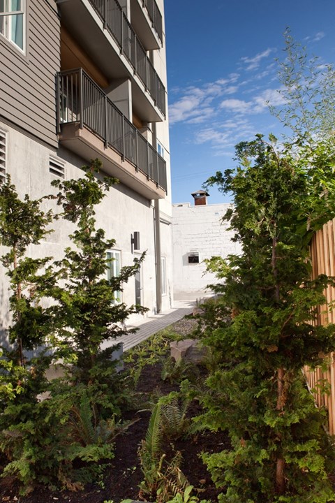 the courtyard between the two buildings has trees and plants
