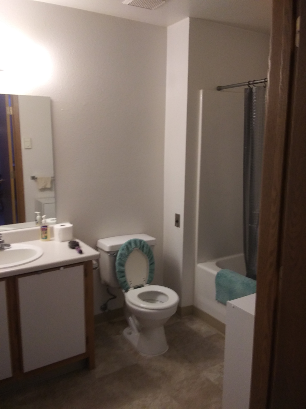 Sarah Street Bathroom