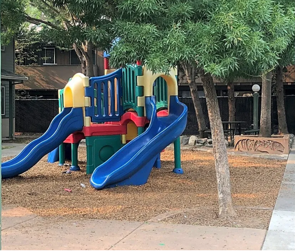 a playground with two slides and a monkey bars