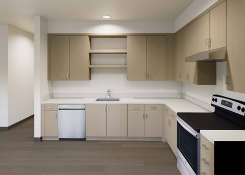 A kitchen with a white dishwasher and black stove top oven.