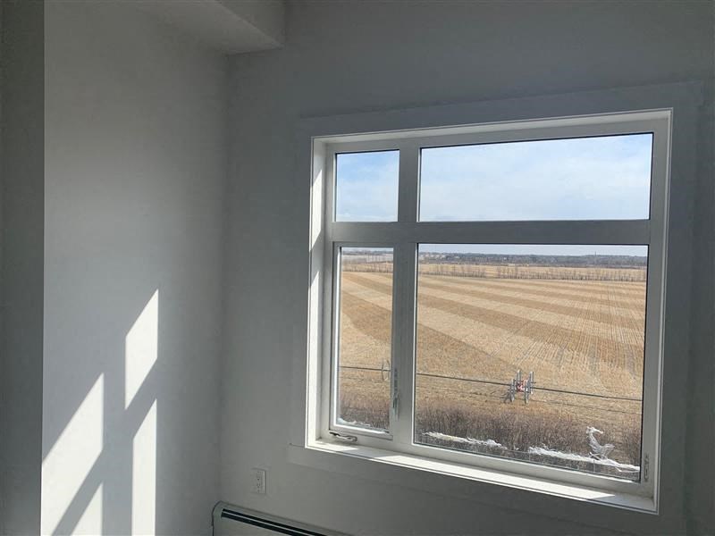 a window with a view of a field