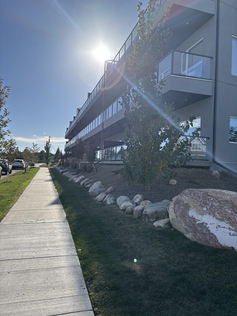 A sunny day in front of a modern building with a walkway and a rock garden.