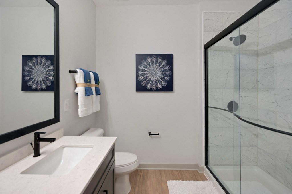 a bathroom with a shower sink and toilet and a mirror at Preston Ridge, North Carolina, 27513
