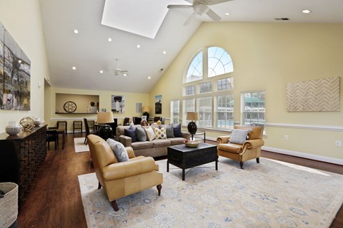 A living room with a tan couch and a blue rug.