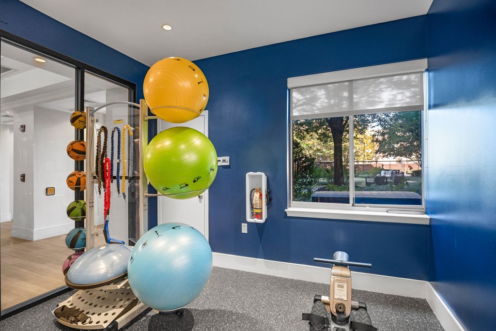 A room with blue walls and a window showing trees outsideat Lincoln Old Town, Alexandria, VA 22314