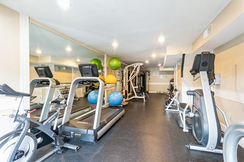 A gym with treadmills, elliptical machines, and exercise balls.