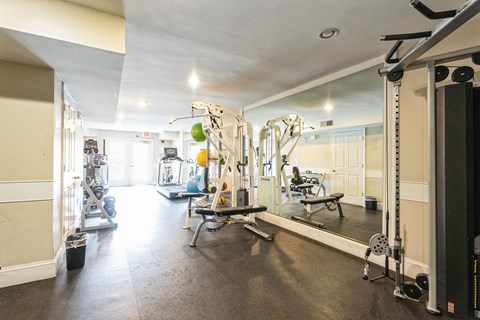 A spacious gym with a variety of equipment.