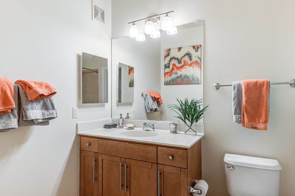 Modern Bathroom Fittings at 800 Carlyle, Alexandria