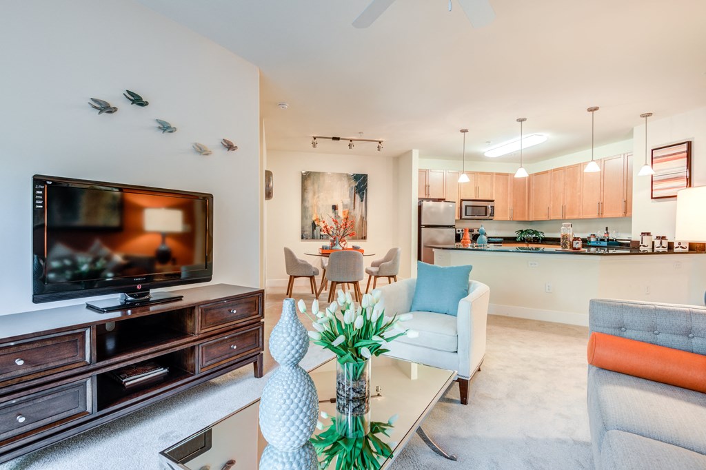 Living Room With TV at 800 Carlyle, Alexandria, VA, 22314