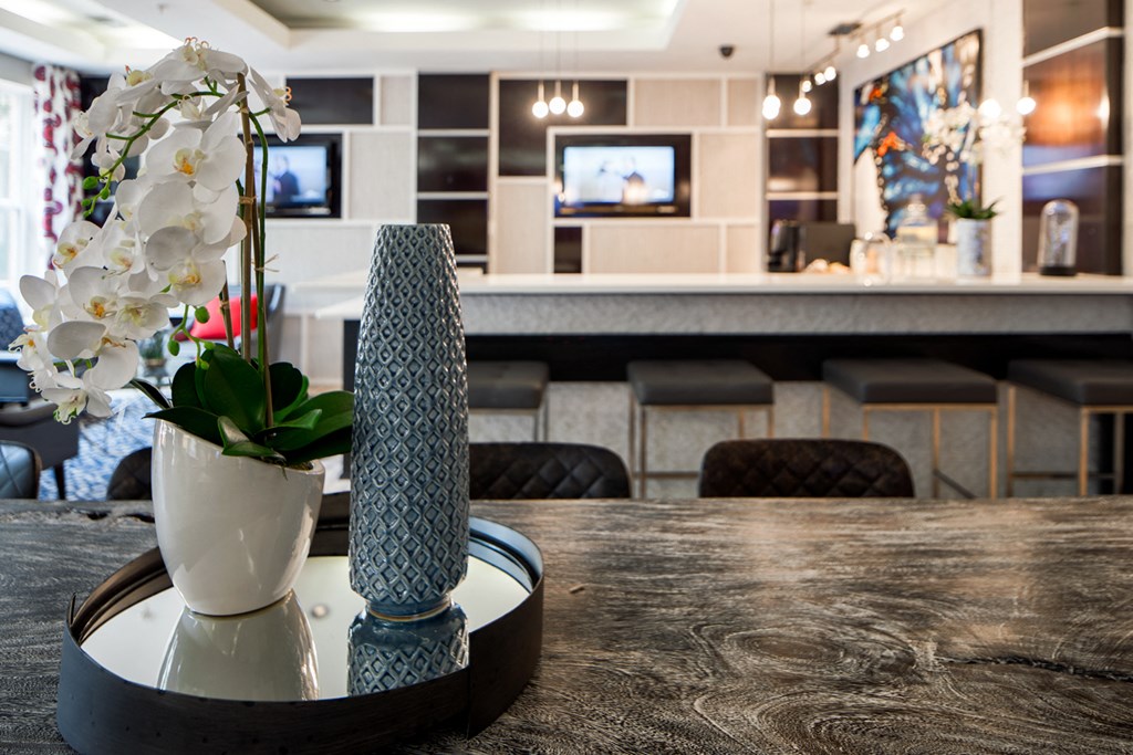 Community Clubhouse With Tv at 800 Carlyle, Alexandria, 22314