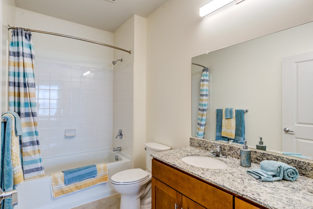 a bathroom with a shower toilet and sink and a mirror