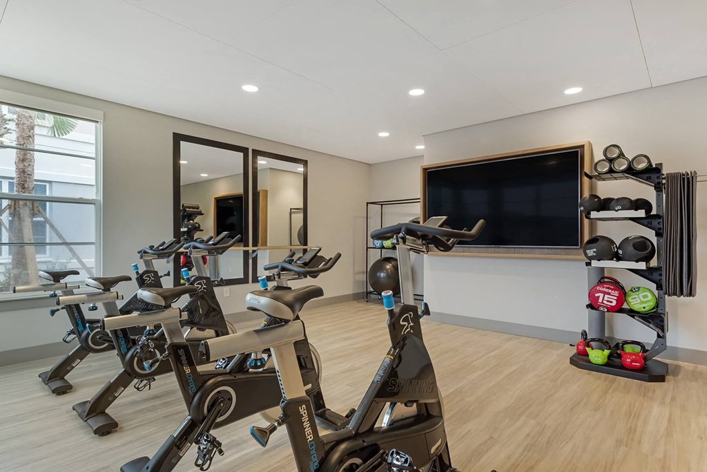 a gym with cardio equipment and a flat screen tv at Delamarre at Celebration, Celebration, FL 34747