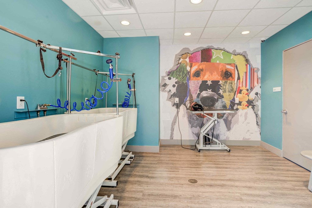 a bathroom with a large mural of a dog on the wall  at Delamarre at Celebration, Celebration, FL 34747