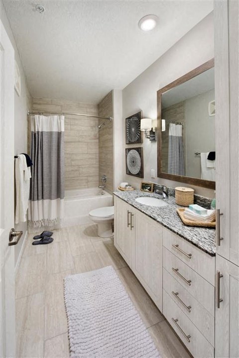 Bathroom With Bathtub at Town Trelago, Maitland, FL