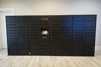 A Black Package Lockers at The Aster Apartments, Cary, NC
