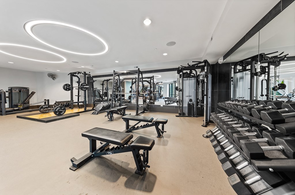 A well-equipped gym with various fitness machines and weights