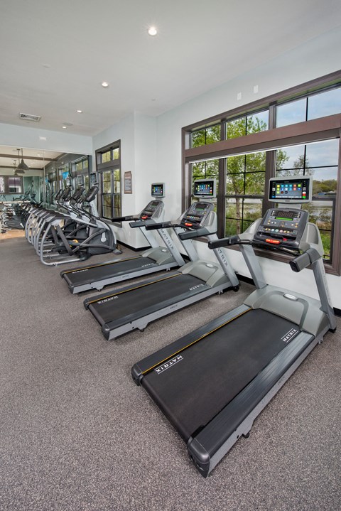 Fitness Center With Modern Equipment at Town Trelago, Maitland, FL, 32751