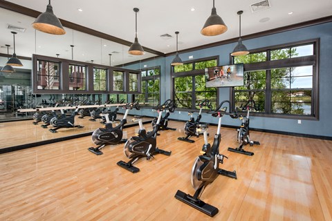 Fitness Center at Trelago Apartments in Maitland, FL 32751