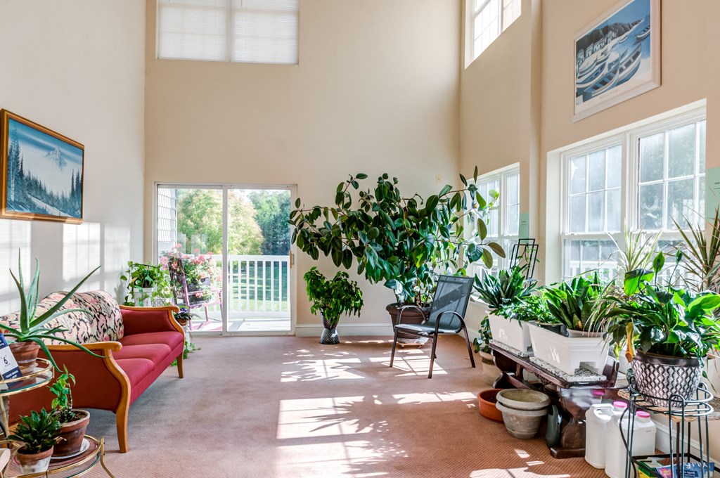 a living room filled with plants and furniture and large windows