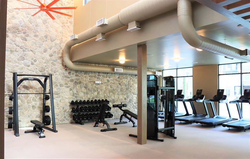a spacious fitness center with a stone wall and a row of treadmills and weights at Vyne One Loudoun, Ashburn, VA