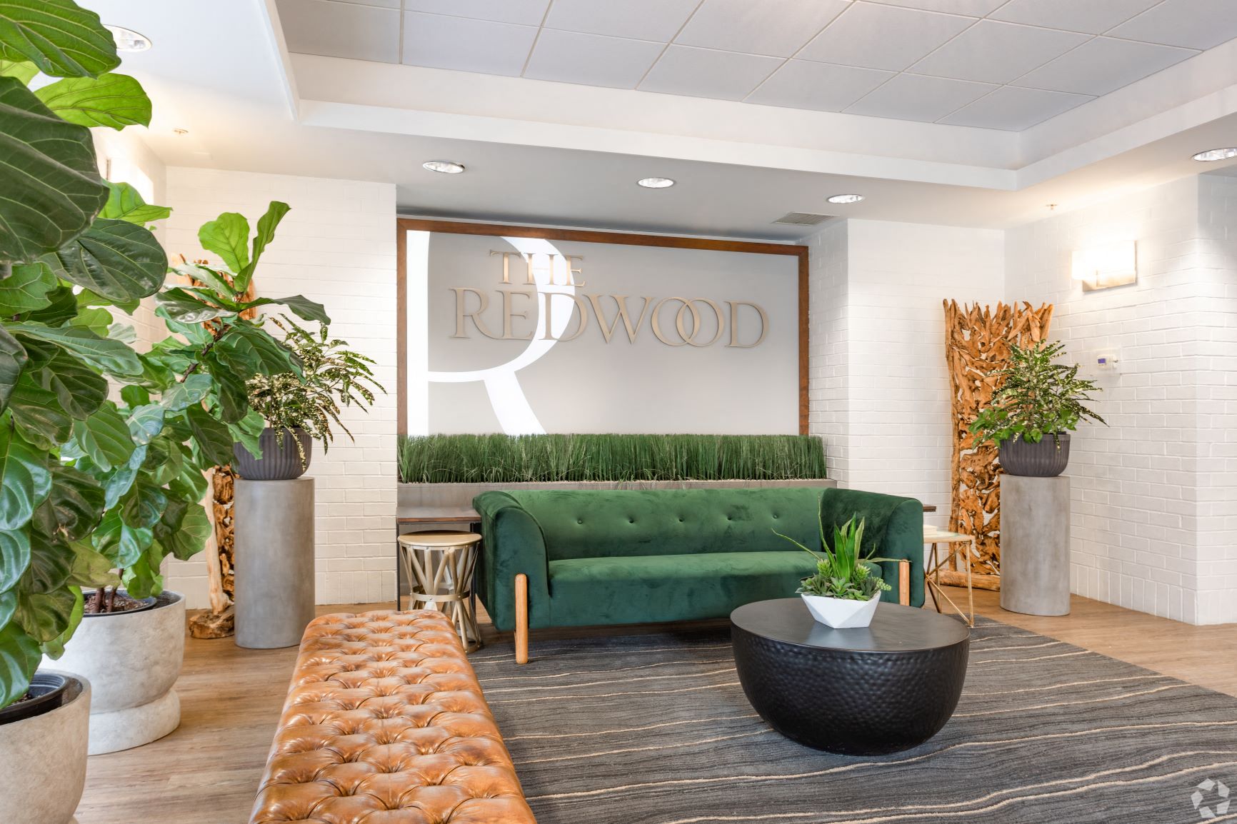 the lobby of the redwood  at The Redwood, Baltimore, MD