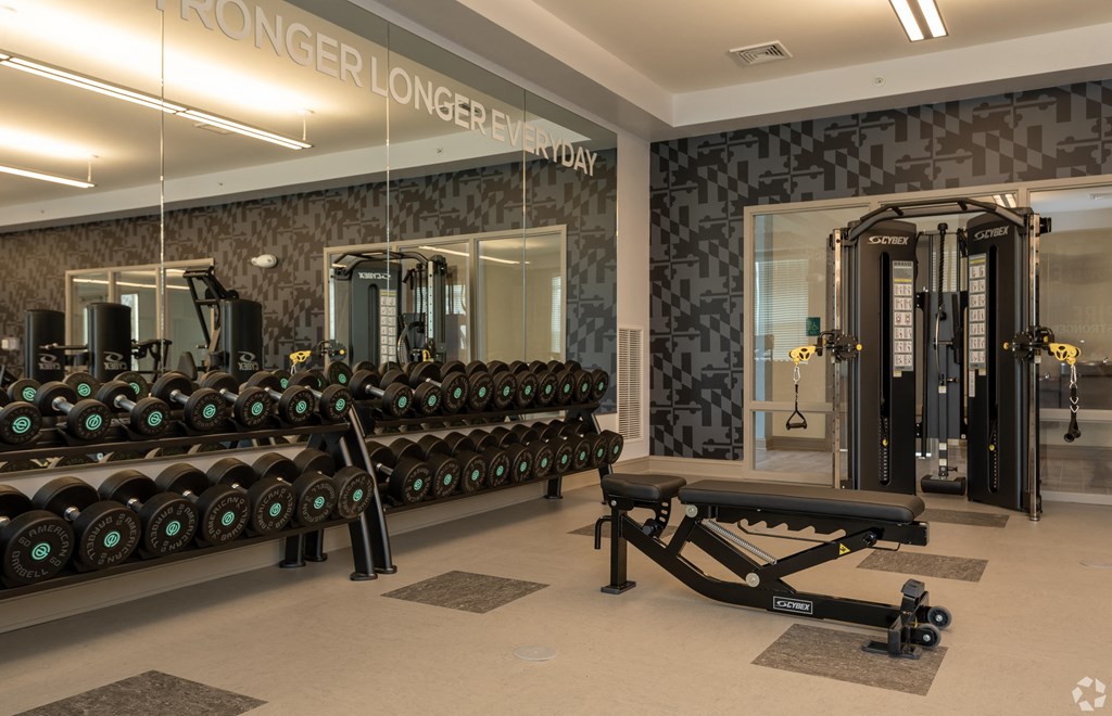 a gym with a row of weights and a weight rack in front of a mirror