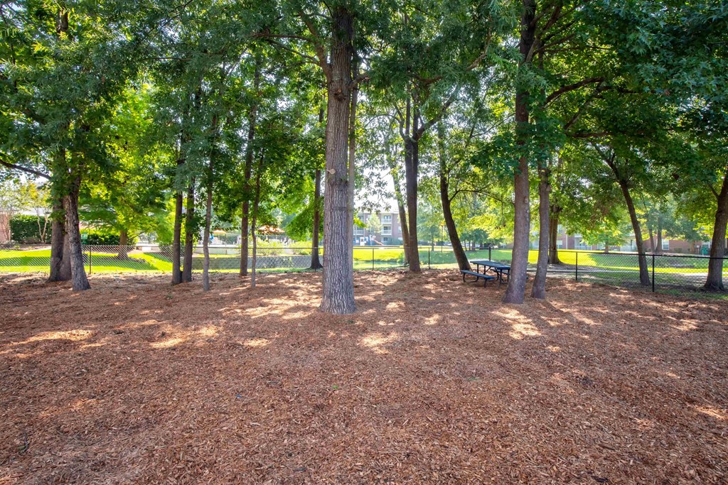 Park View at Jamison Park, North Charleston, 29406