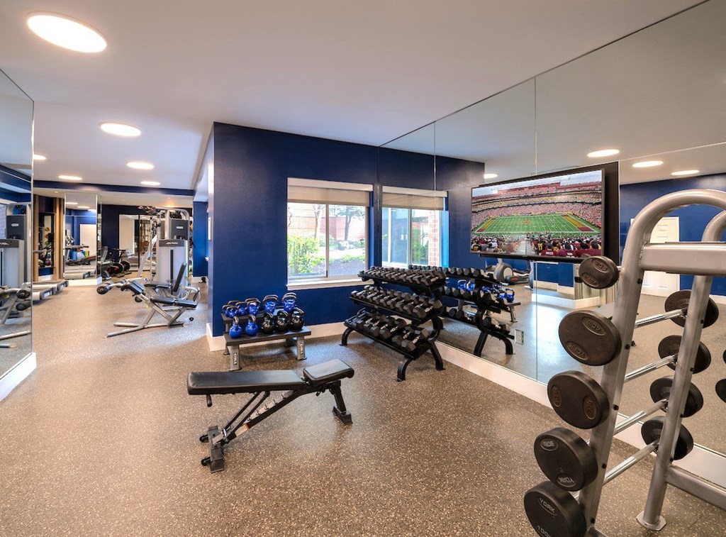a gym with weights and a tv on the wall