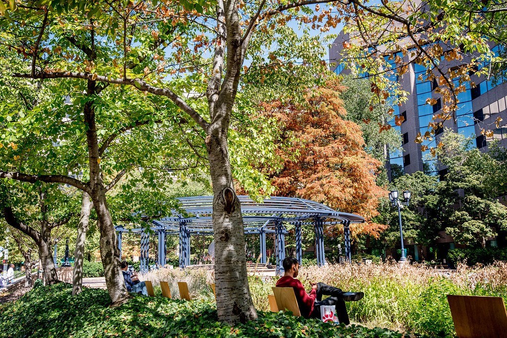a person sitting on a bench in a park at The Acadia at Metropolitan Park, Arlington, VA, 22202