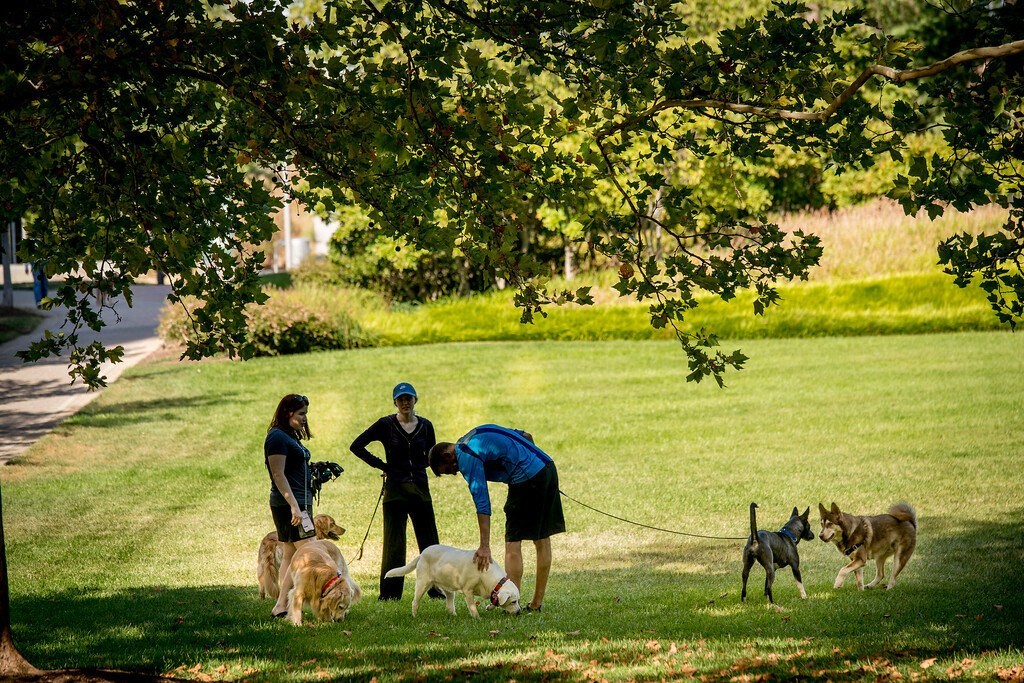 a group of people standing on top of a lush green field at The Acadia at Metropolitan Park, Arlington, Virginia