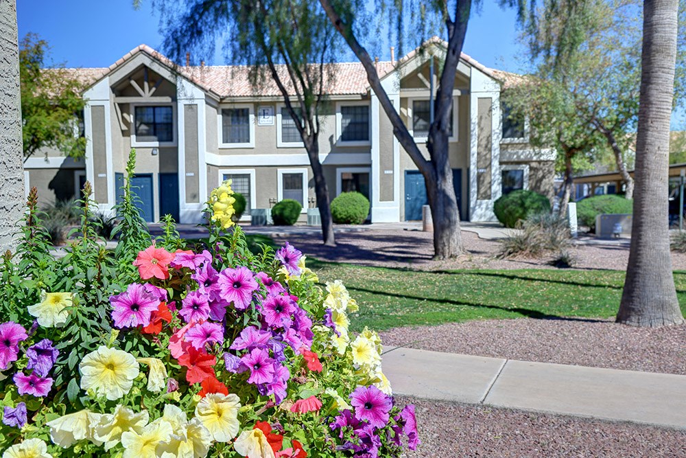 Flowers at Cottonwood Crossing, Casa Grande, AZ 85122  