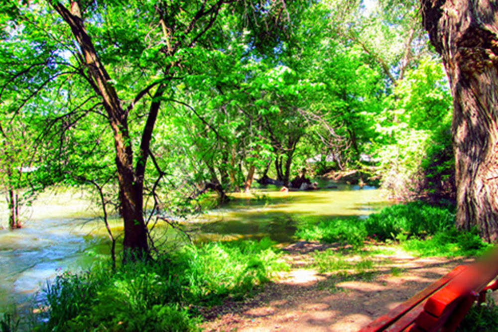 A serene park with a bench and a tree. A serene park with a bench and a tree.at Country Woods, Ogden